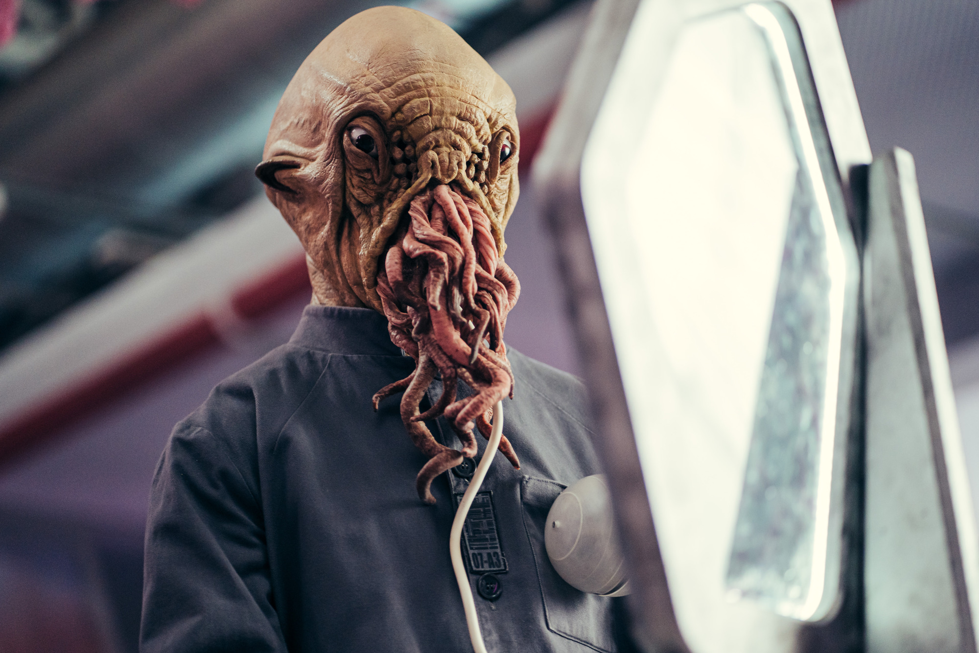 doctor who flux