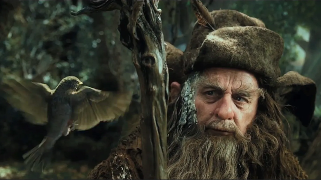Sylvester McCoy as Radagast the Brown in The Hobbit trilogy Doctor Who actors Seventh Doctor